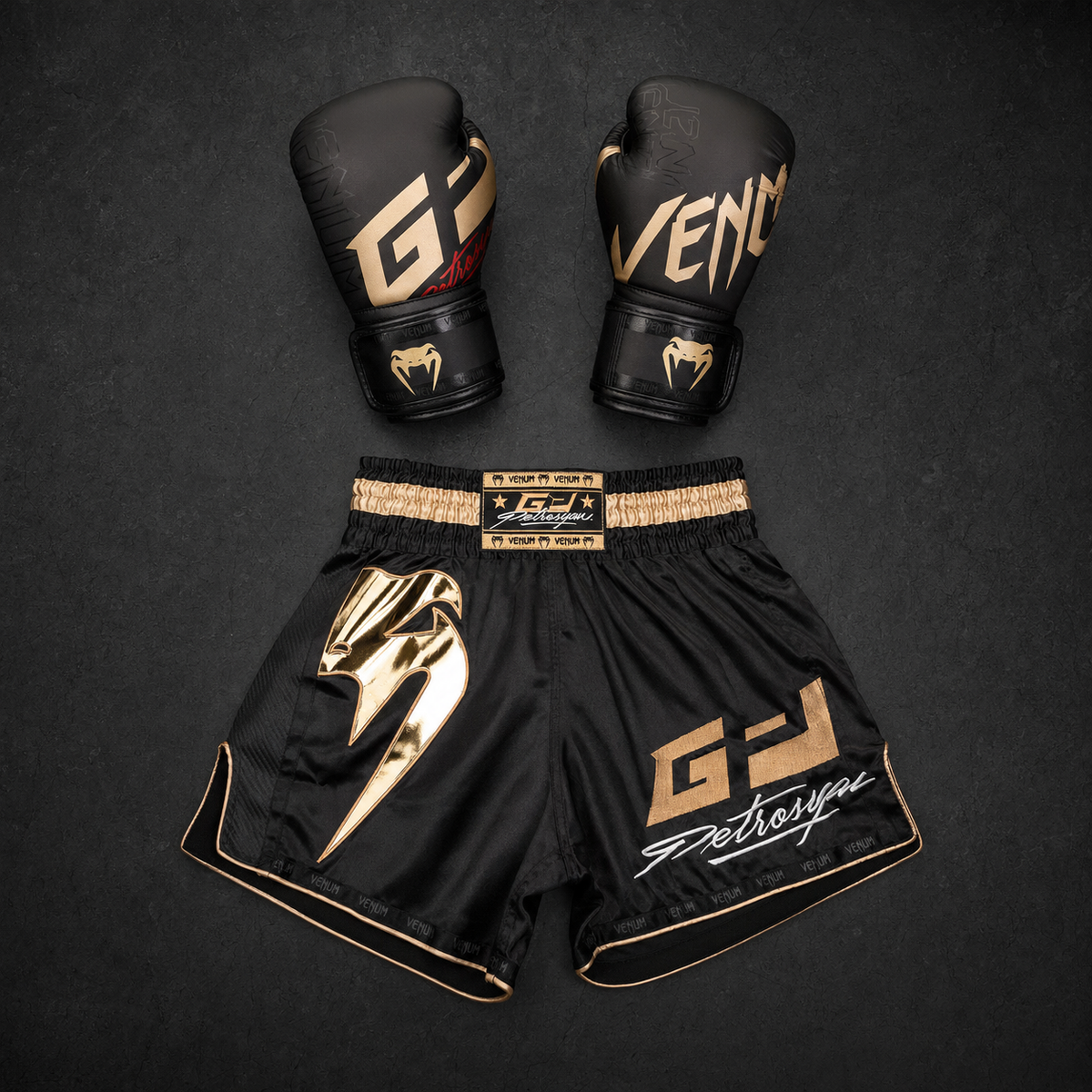 Venum Petrosyan Black Gold Fightset